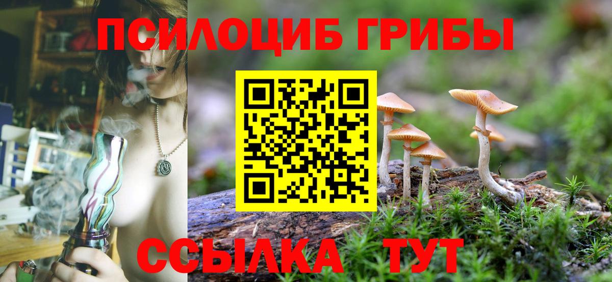 Ачинск  Галлюциногенные грибы мицелий  Вход с VPN  купить наркотики сайты  Галлюциногенные грибы GOLDEN TEACHER 
