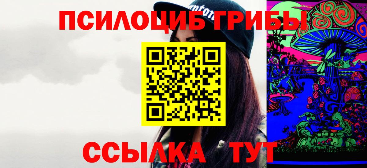 Галлюциногенные грибы Psilocybine cubensis Ачинск